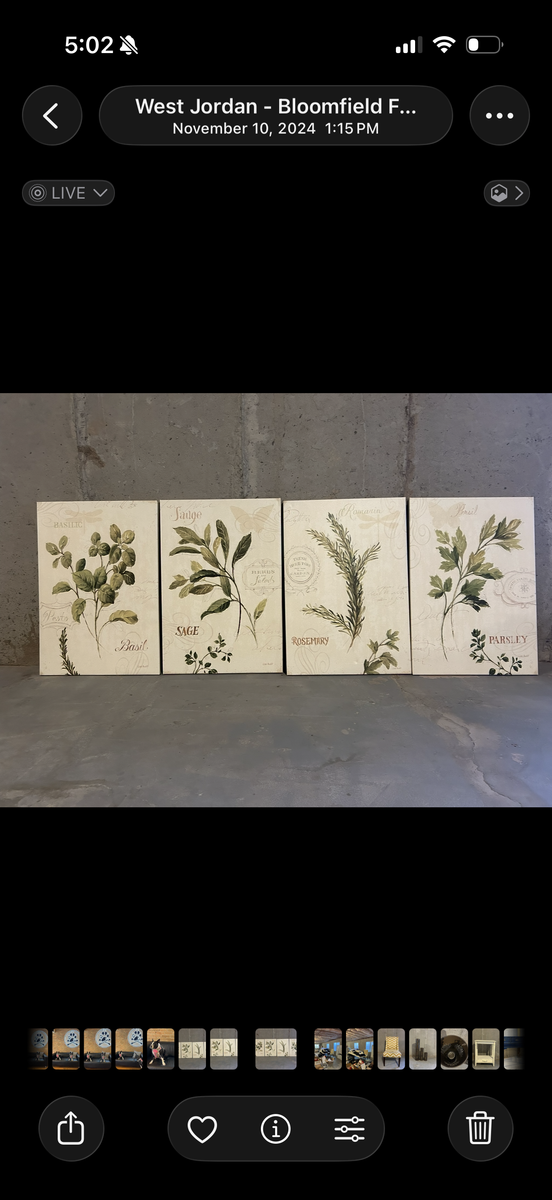 Set of 4 Herb Botanical Canvas Wall Art Prints - Basil, Sage, Rosemary, Parsley Home Decor