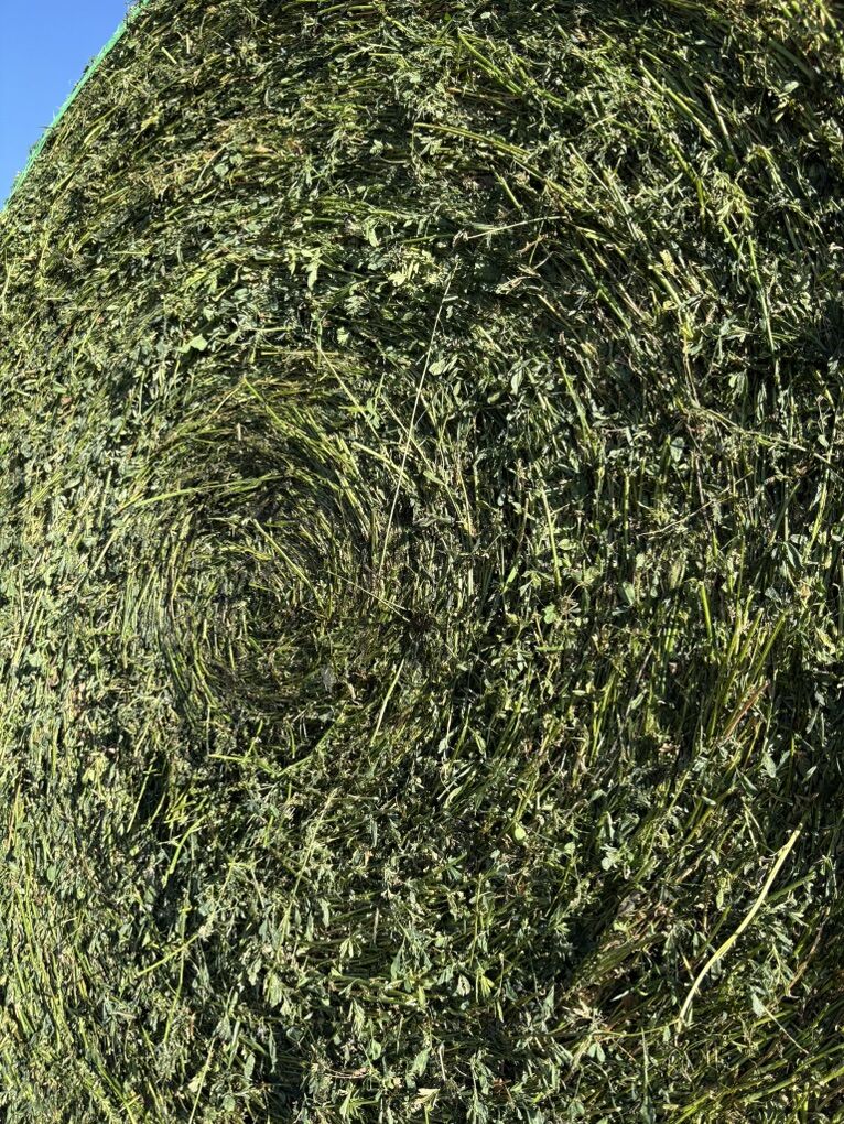 Haylage Rounds 4x5