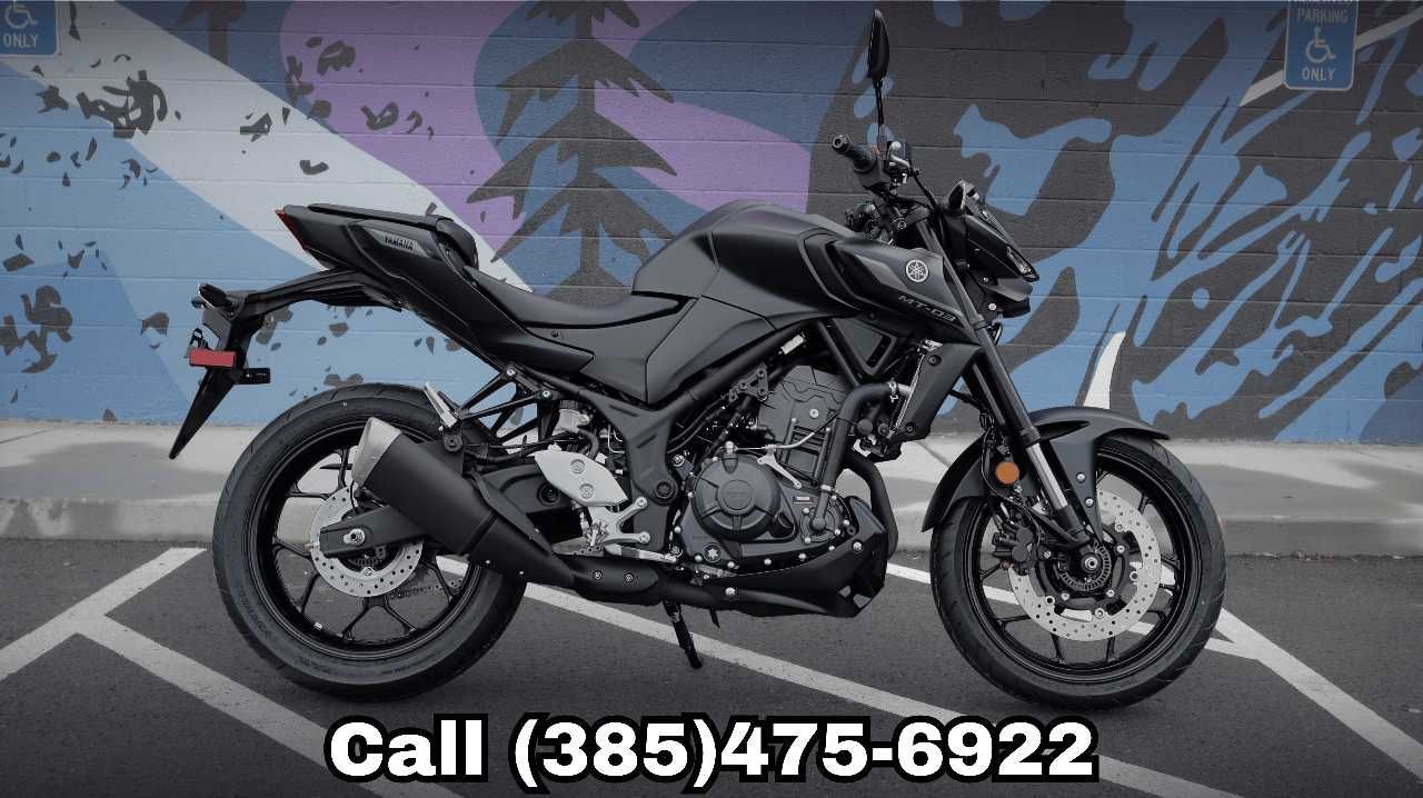 2026 YAMAHA MT 03