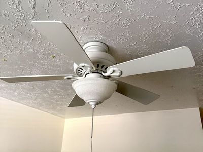 Hunter White Ceiling Fan with 4 Blades and Pull Chain Light Kit