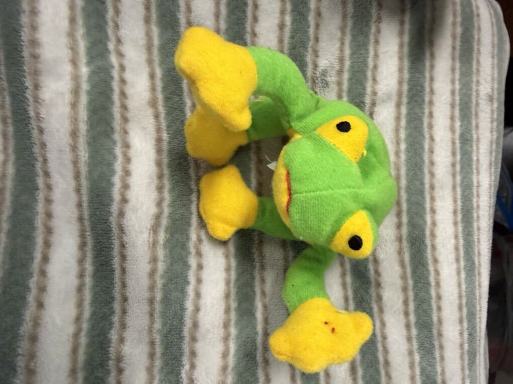 Teeny Beanie Baby Smoochie The Frog 1993
