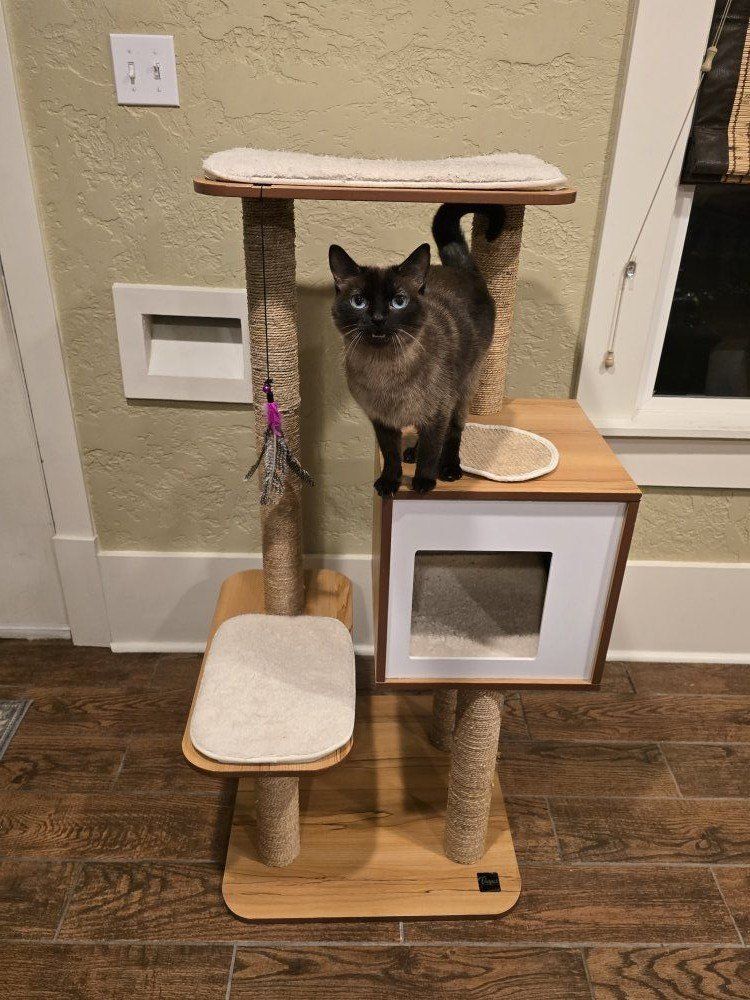 Elegant Cat Tower