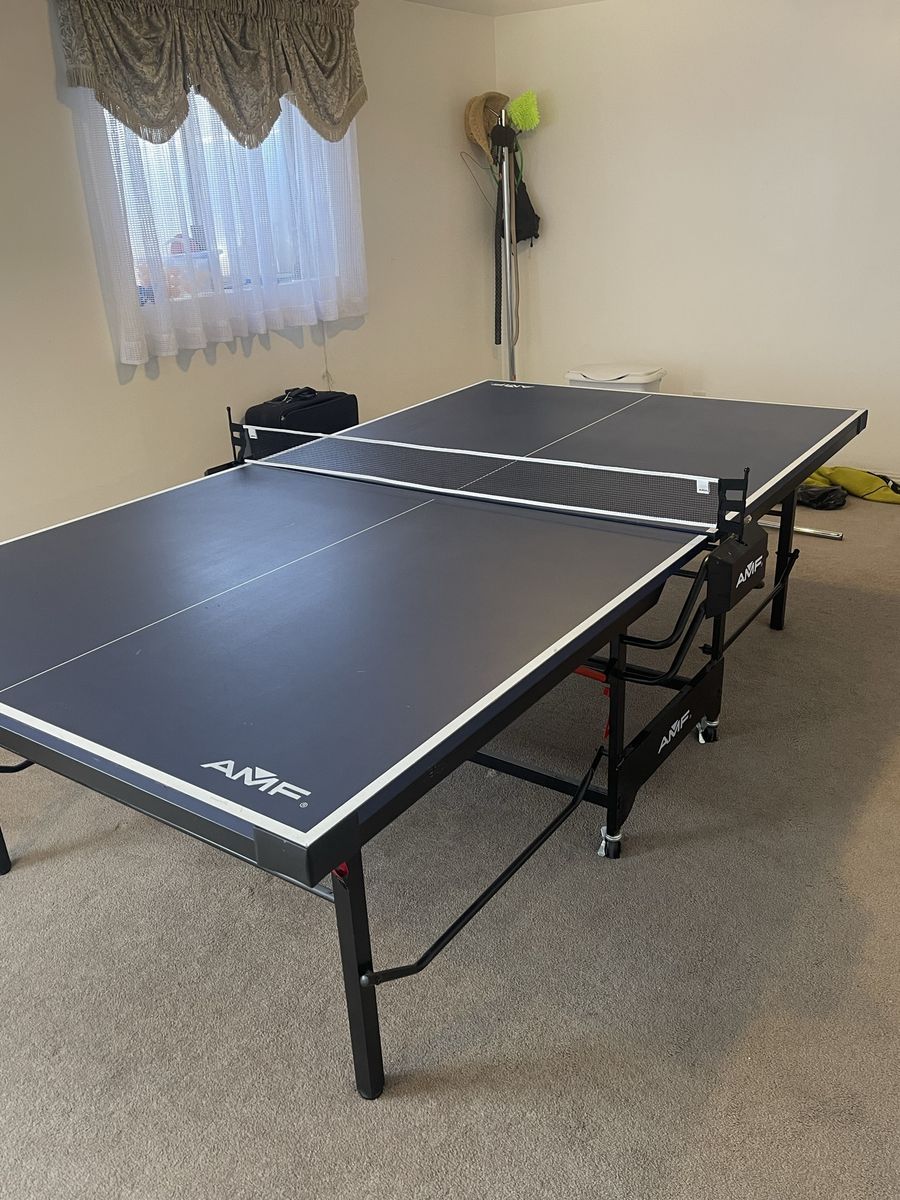 Heavy Duty Ping Pong Table (fantastic condition, folds easily)