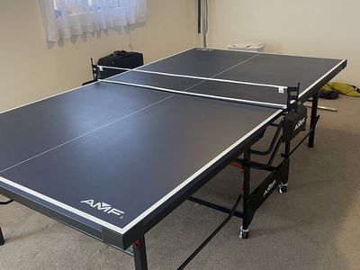 Heavy Duty Ping Pong Table (fantastic condition, folds easily)