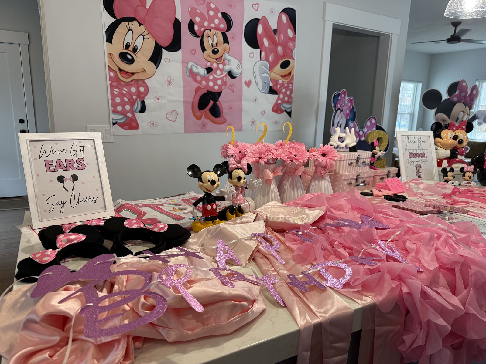 Minnie Mouse Party Decorations 🩷