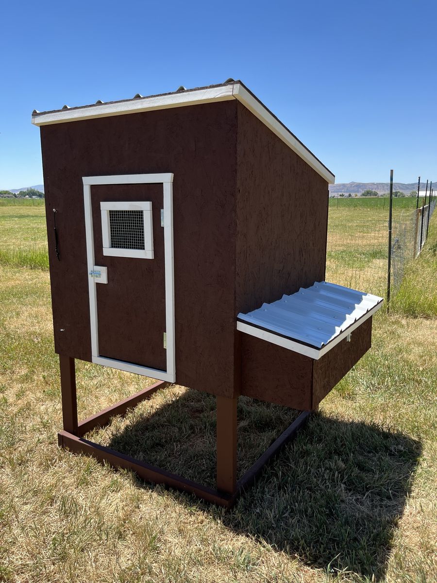 New Chicken Coop!