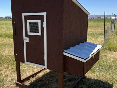 New Chicken Coop!