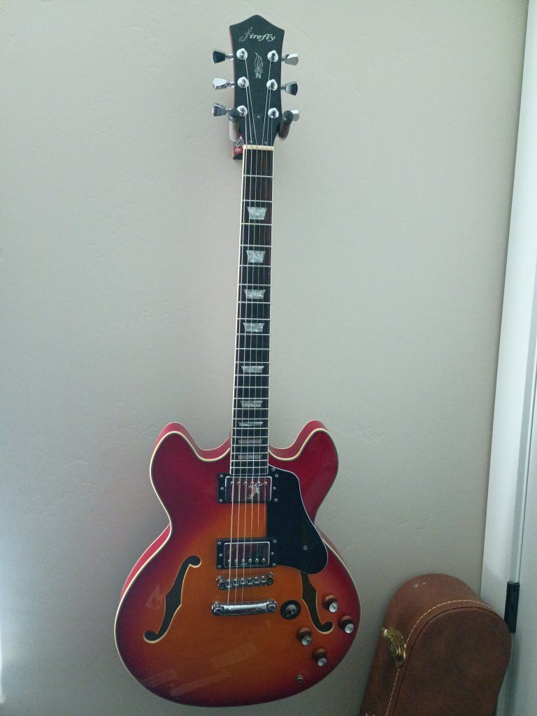 Firefly FFD335 Semi-Hollowbody Electric Guitar - Cherry Sunburst
