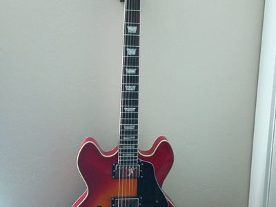 Firefly FFD335 Semi-Hollowbody Electric Guitar - Cherry Sunburst
