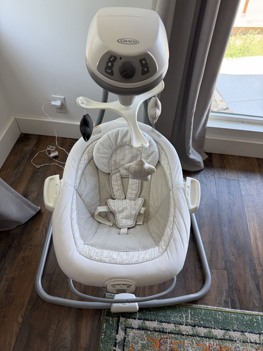 Graco Baby Swing and Soother with Multi-Motion Features and Toys