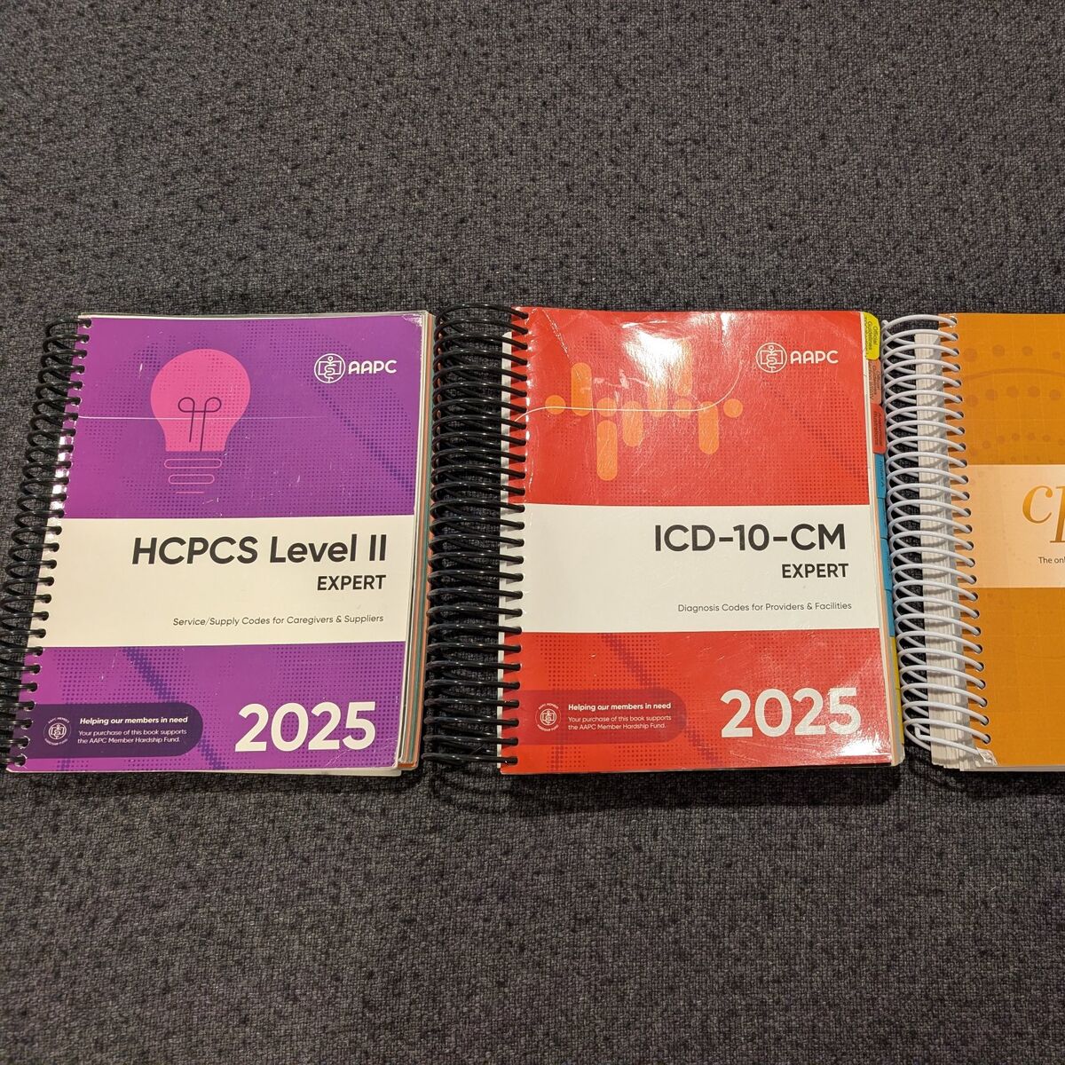 ICD 10 CM Medical Coding Books 2025 and CPT HCPCS
