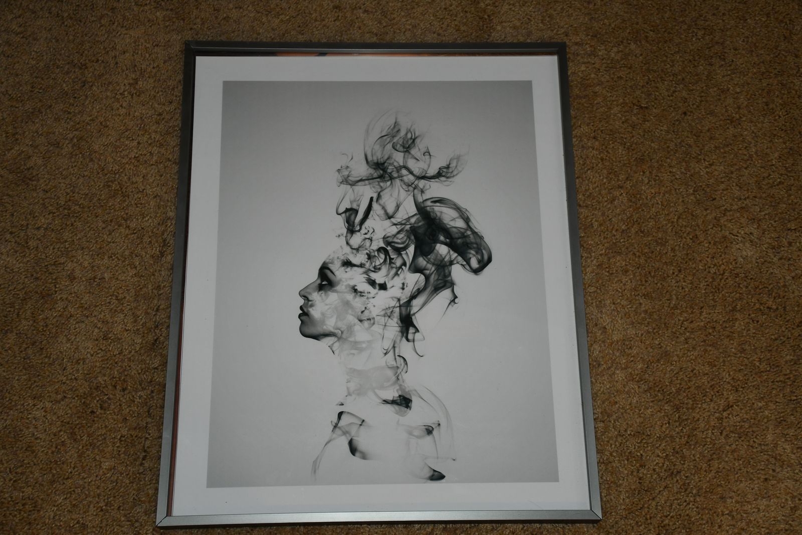 UNIQUE, BEAUTIFUL "DISSOLVE ME" PICTURE by DANIEL TAYLOR ~ 16" x 20" FRAMED ~ BRUSHED SILVER FRAME