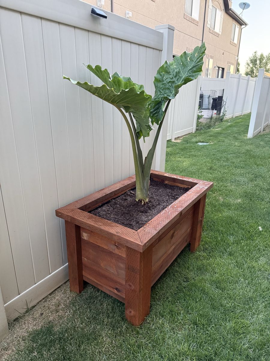 Homemade Red Cedar Planter Box