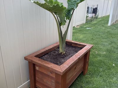 Homemade Red Cedar Planter Box