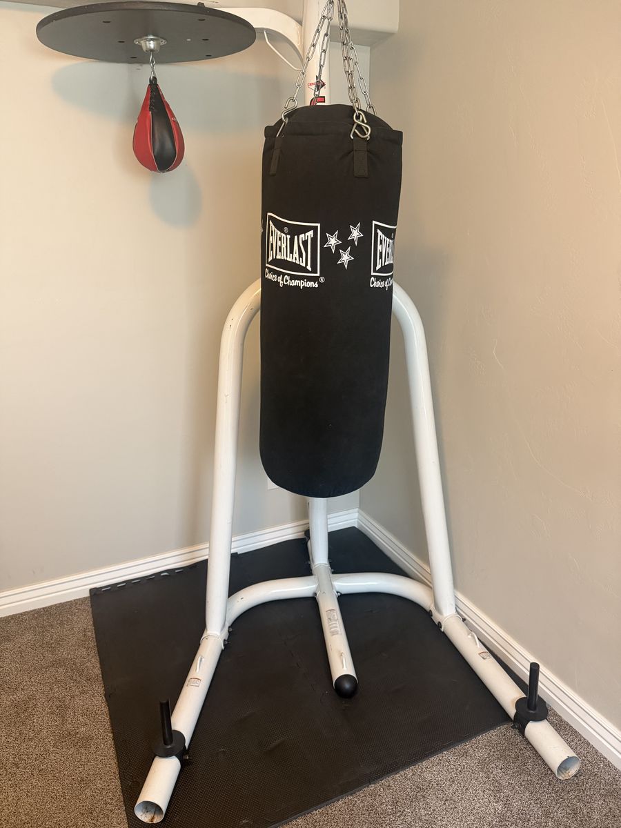 Everlast Punching Bag With Stand