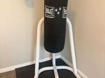 Everlast Punching Bag With Stand