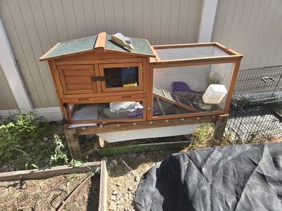 Used Outdoor Wooden Pet Hutch with Run - Ideal for Small Animals