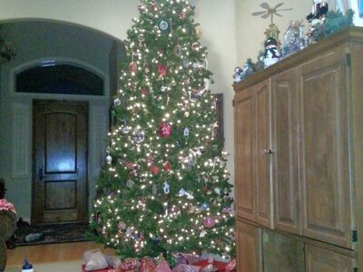 12' Christmas tree