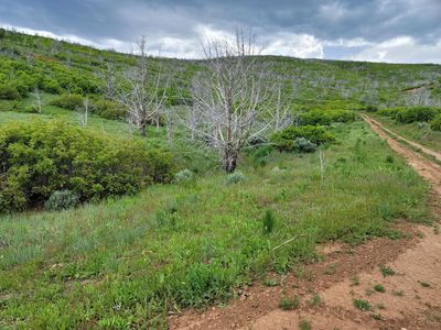 Family camp or cabin, one acre in beautiful Indianola, Utah