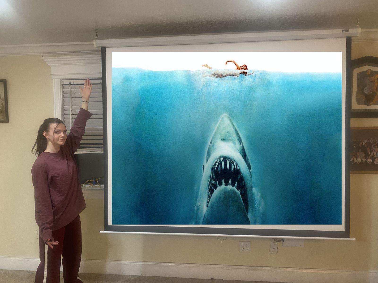 100" Movie Theater Screen: 84" x 50"