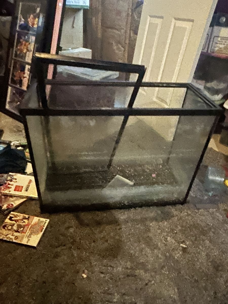 Fish tank