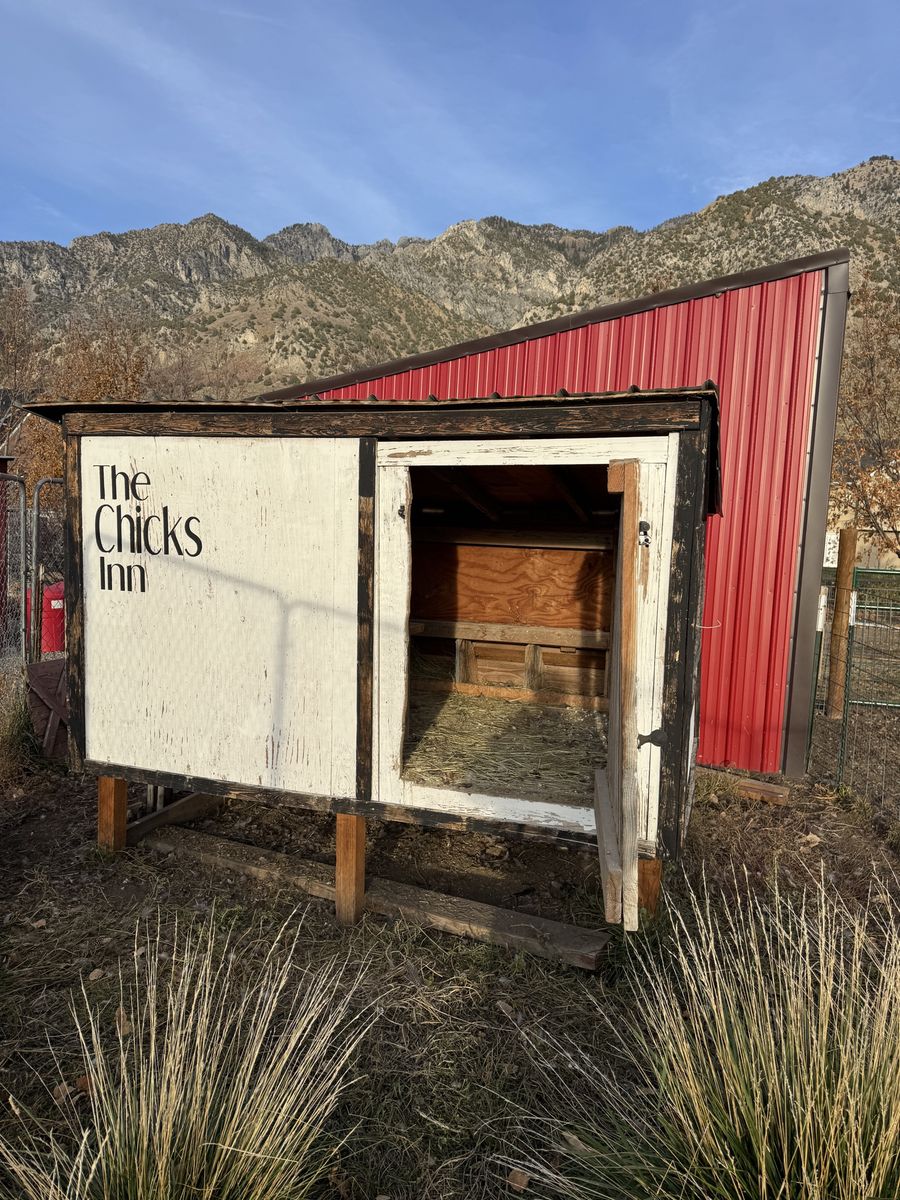 Chicken Coop