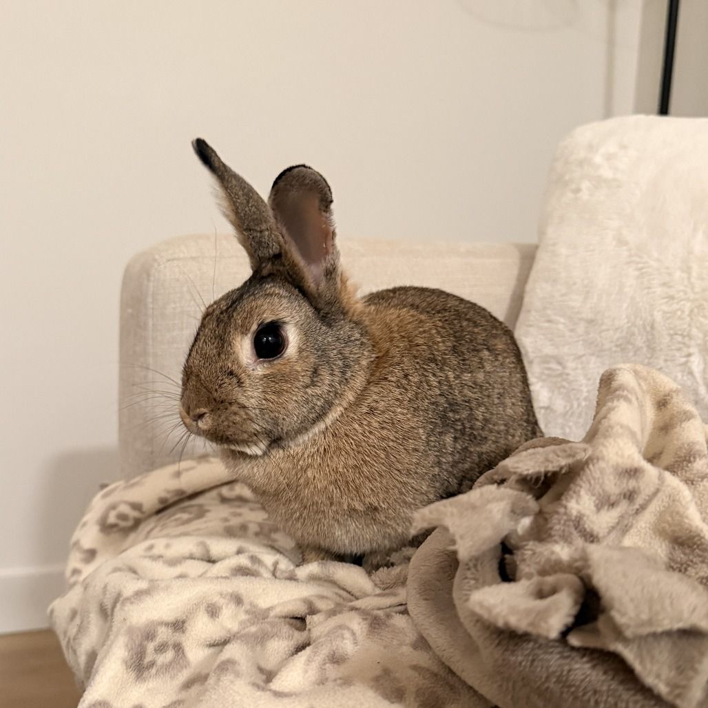 Hello my name is Hazel