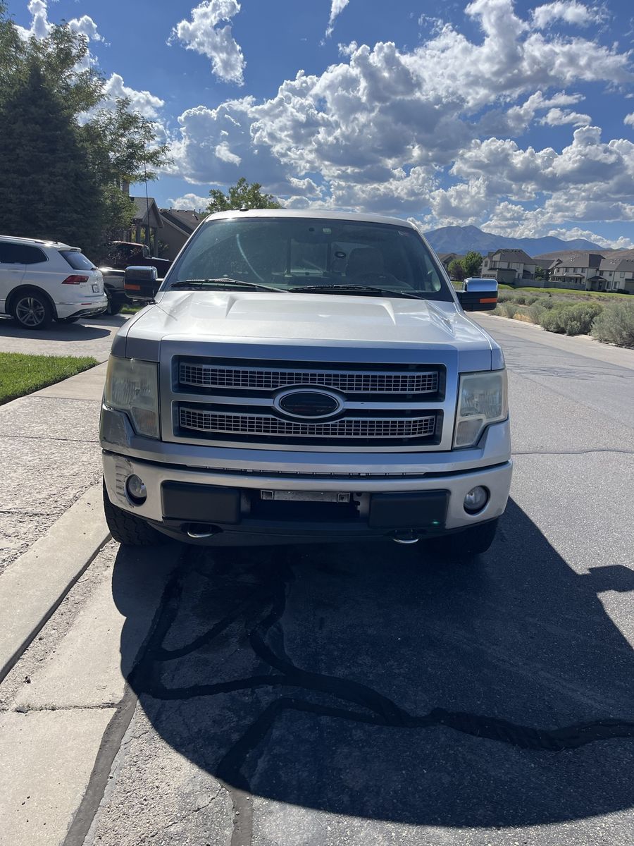 2009 Ford F-150 Platinum