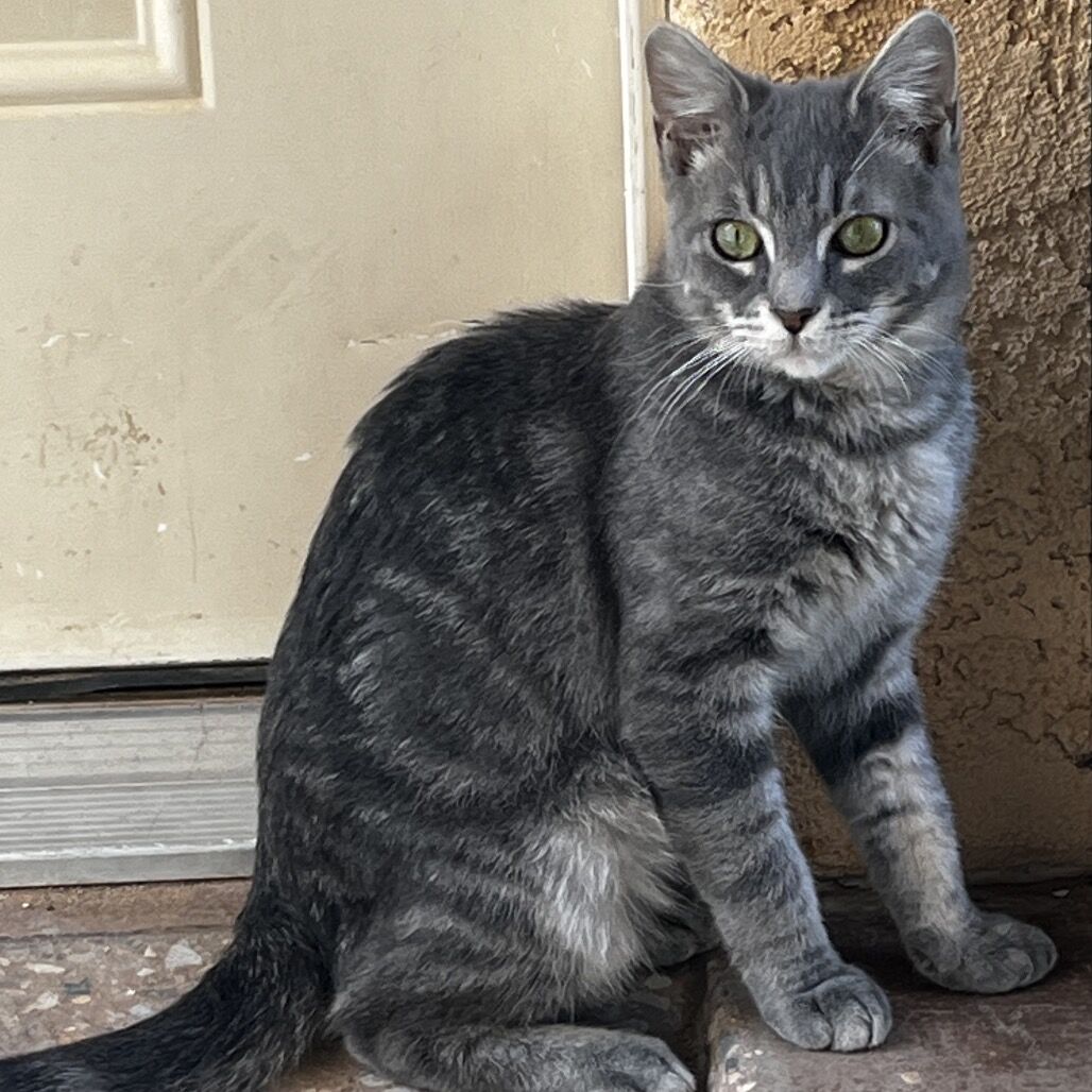 Hello my name is Dody