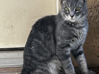 Hello my name is Dody