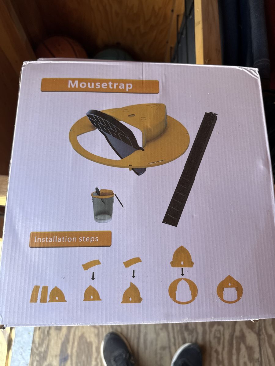 Bucket mouse trap