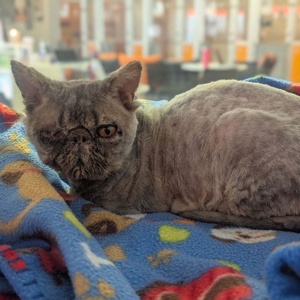 Hello my name is Gerald