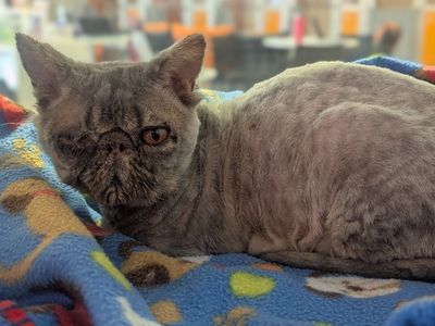 Hello my name is Gerald