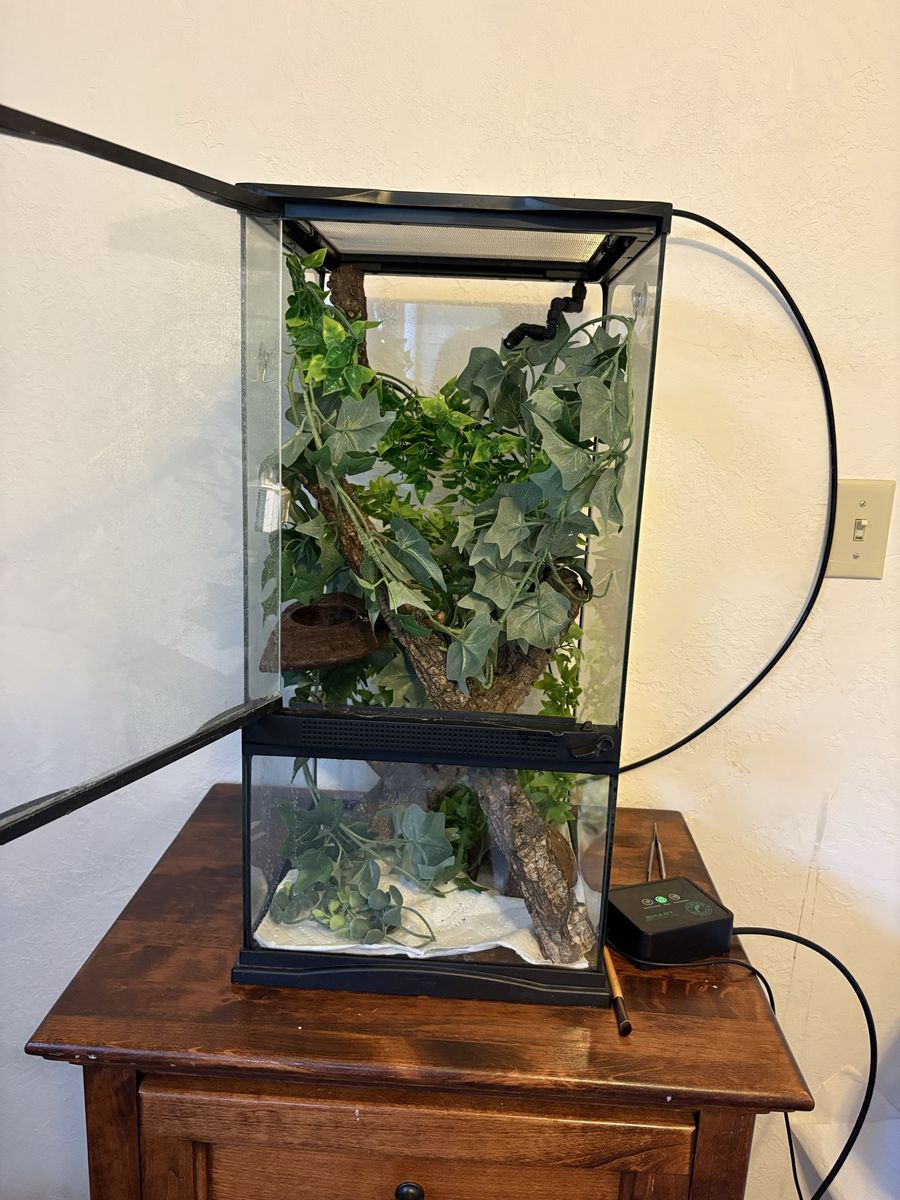 18x18x24 Crested Gecko/Reptile Complete Setup — $120 OBO