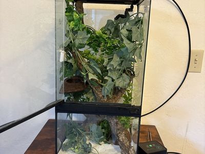 18x18x24 Crested Gecko/Reptile Complete Setup — $120 OBO