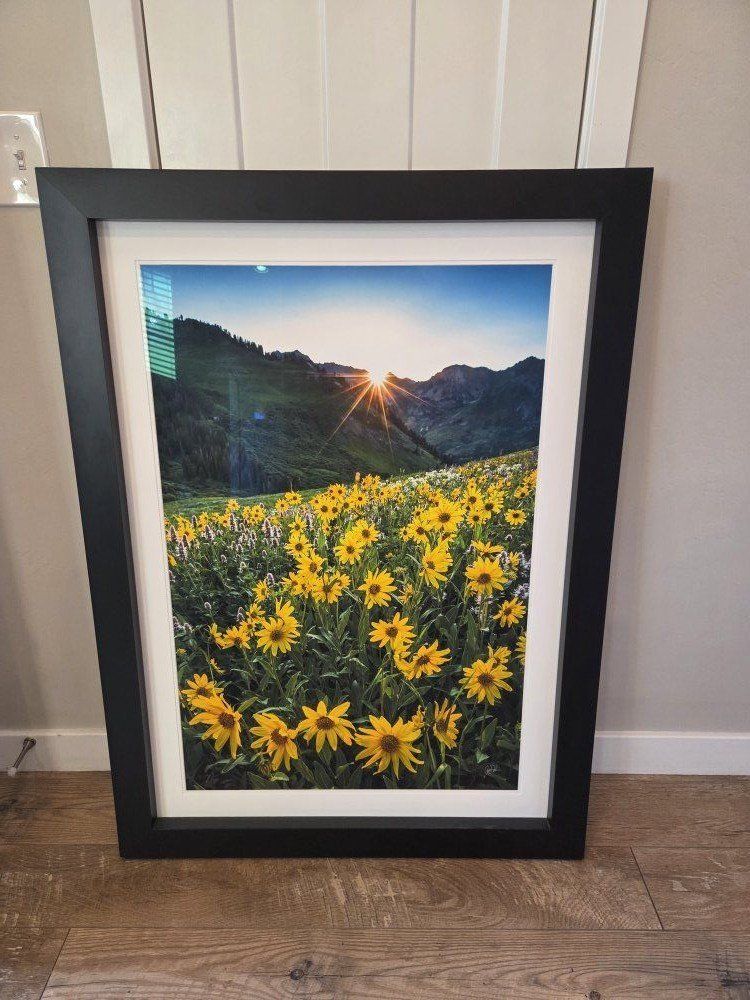 Beautiful Sunflower Framed Picture