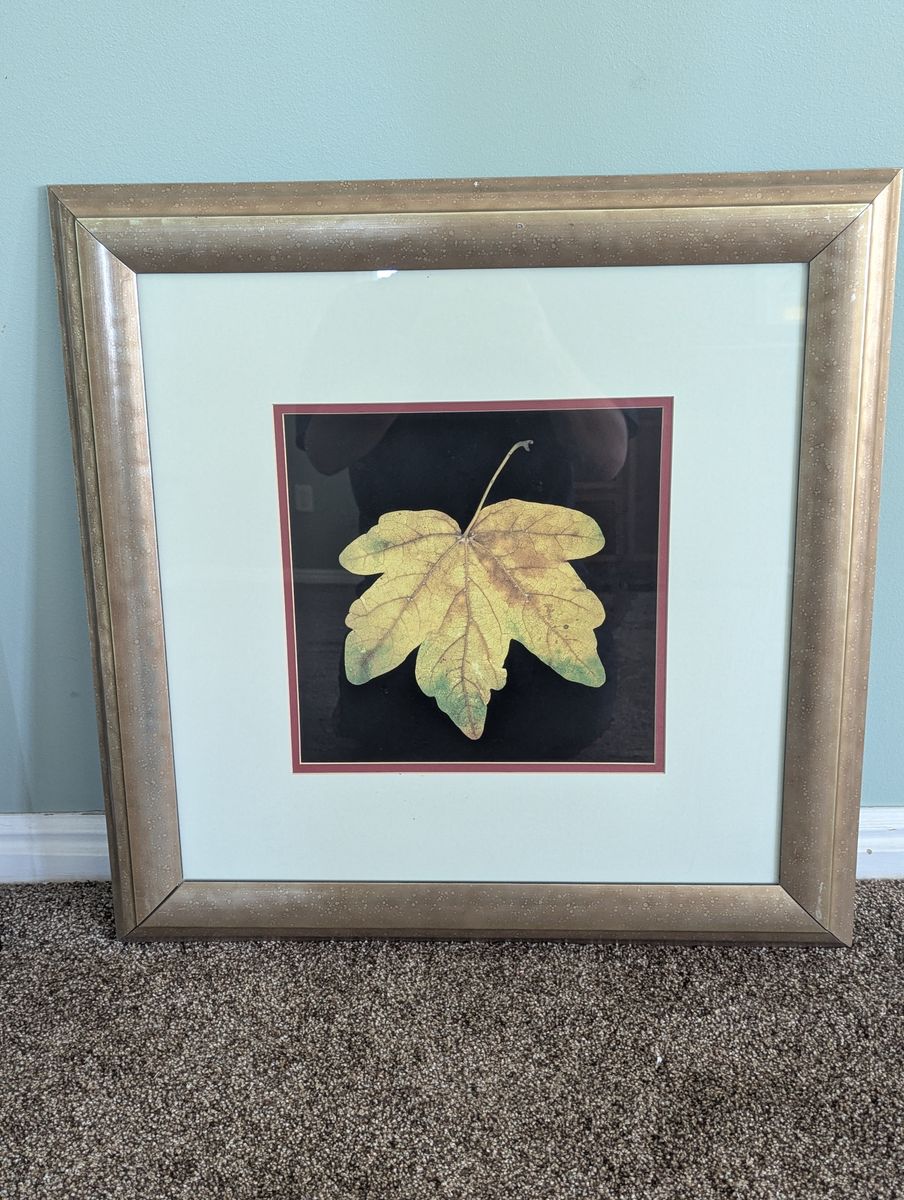 Wall Framed Art Decor