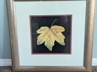 Wall Framed Art Decor