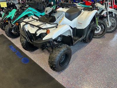 2024 Yamaha Grizzly 90