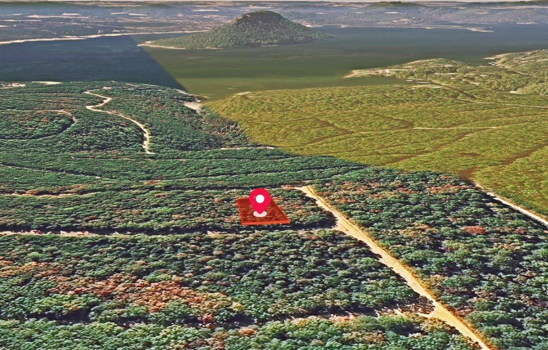Main image 7