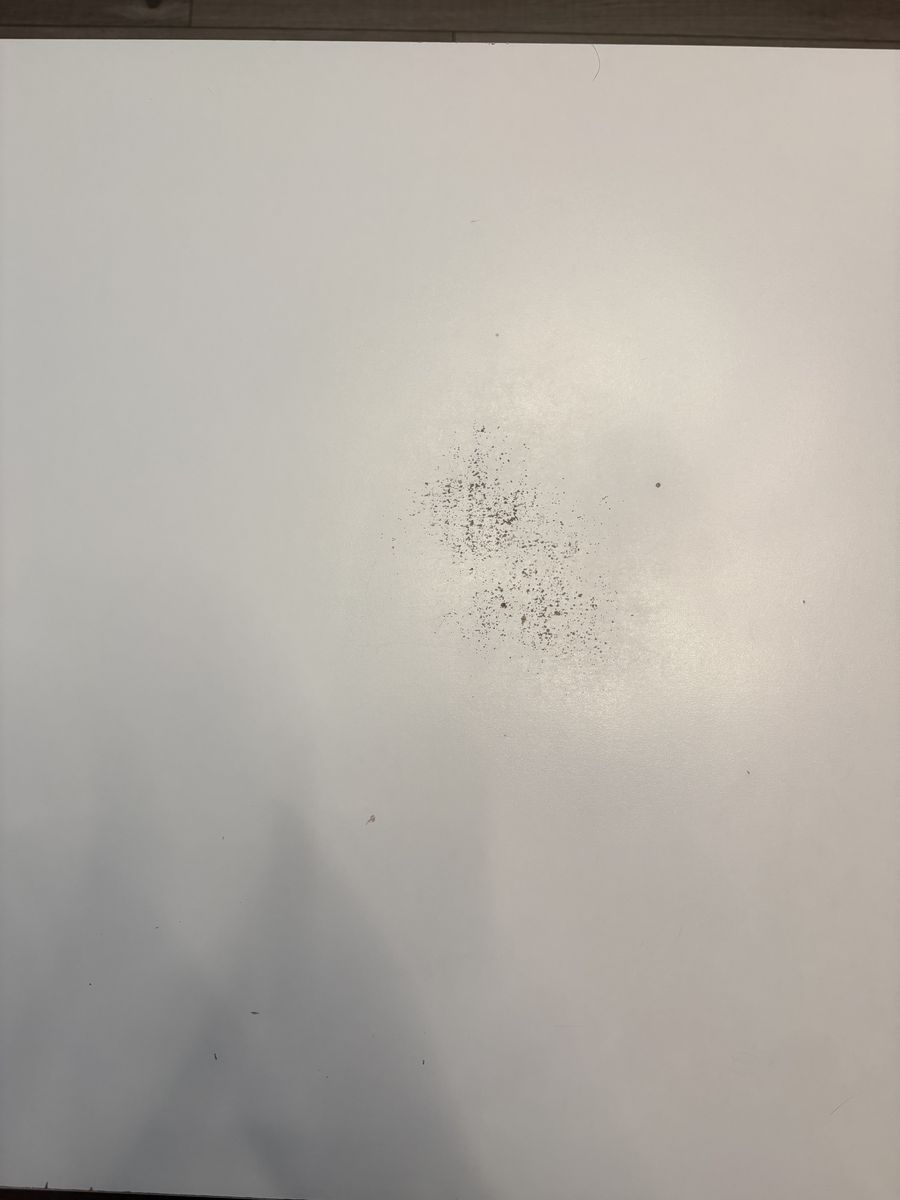 Main image 6