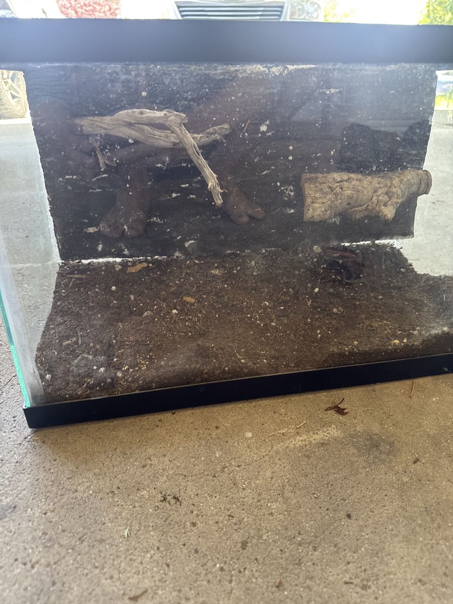 20 x 10 x 12.5 custom acrylic top, glass enclosure