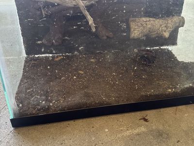 20 x 10 x 12.5 custom acrylic top, glass enclosure