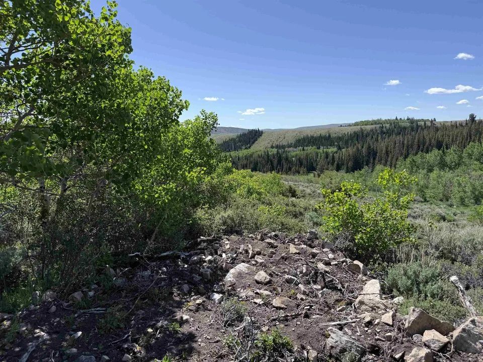 Main image 17