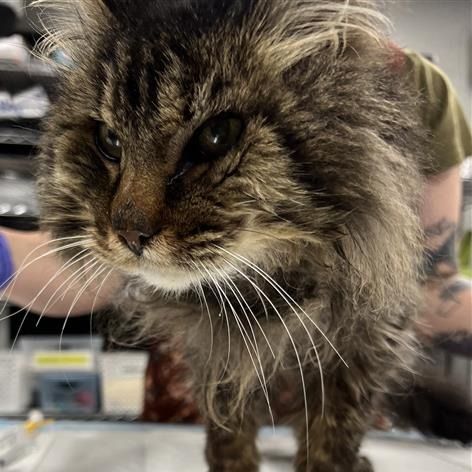 Hello my name is Earl