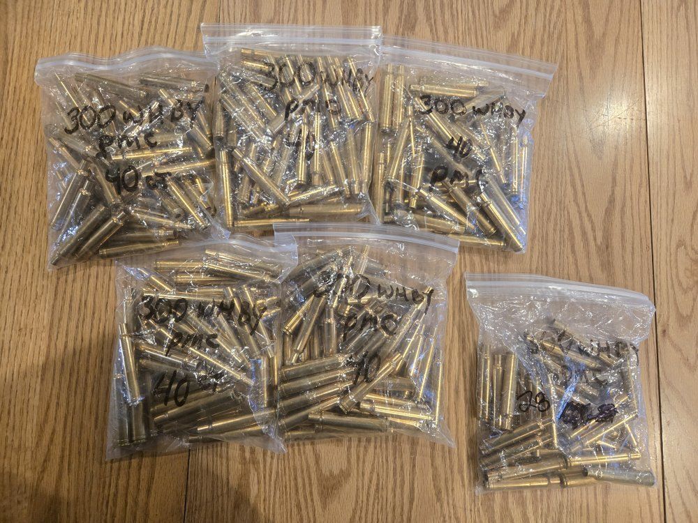 300 Weatherby Mag New brass