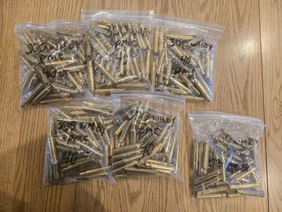 300 Weatherby Mag New brass