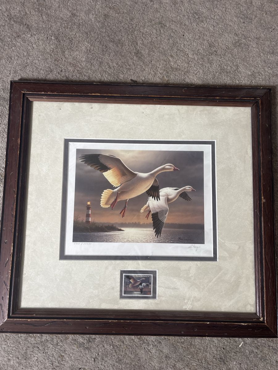 Ducks unlimited photo 