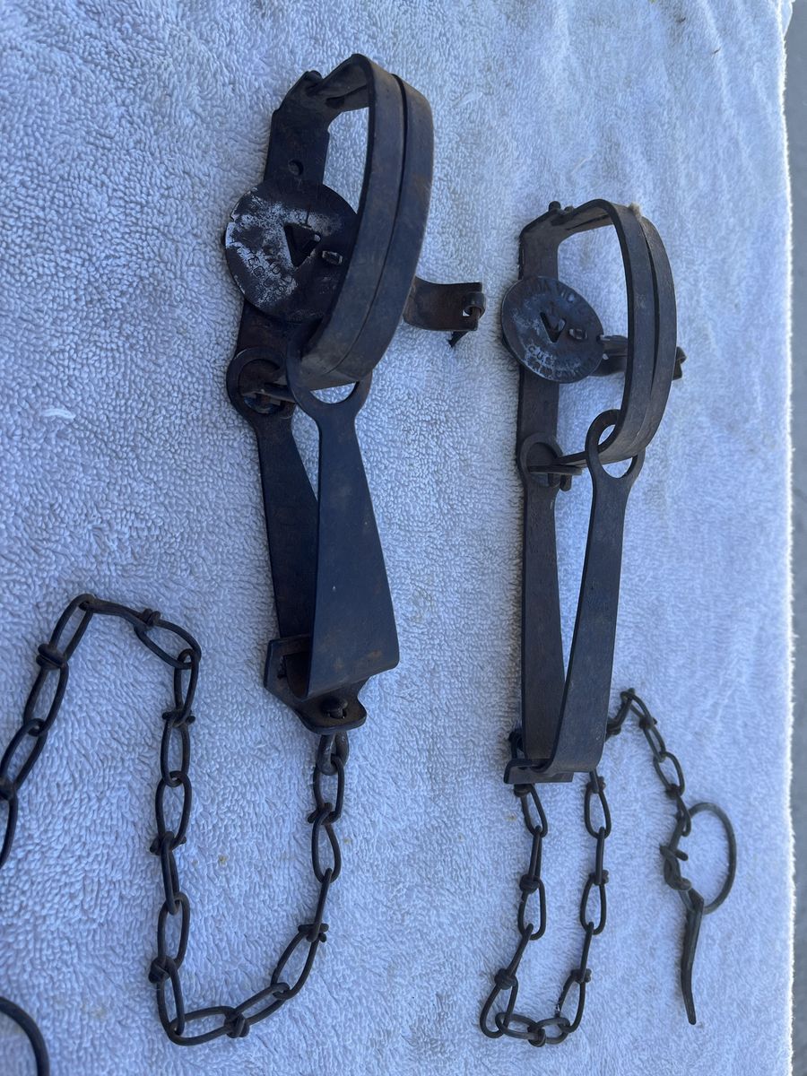 Vintage 'Victor' Small Game Animal Traps