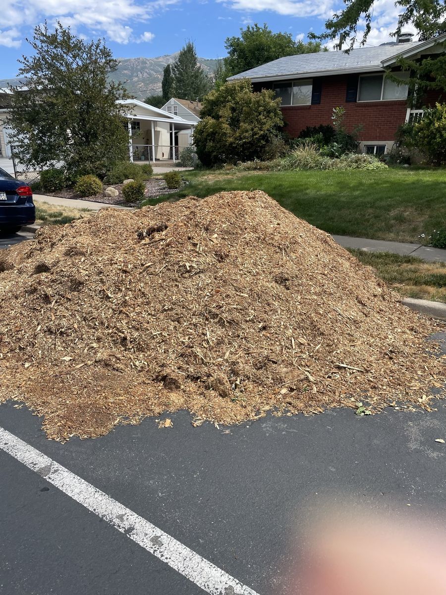 Large Pile of Mulch/Wood Chips